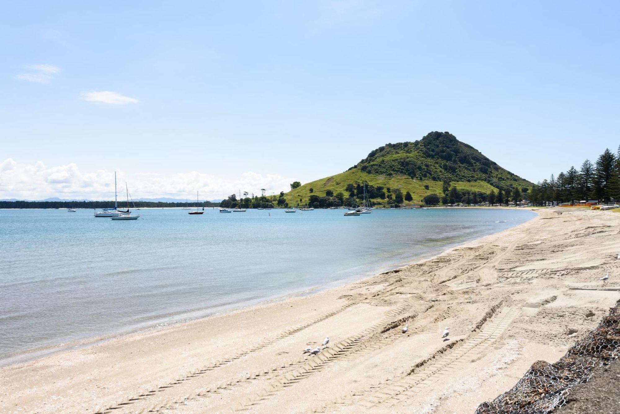 Sunny And Spacious - Moments From The Beach And Downtown Mount Maunganui Exterior photo